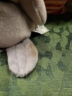 1997 Collectible Coca-cola Seal In Baseball Cap Bean Bag Plush Style