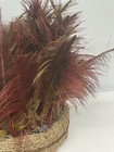 Antique South American Feathered Progi Headdress Beni Bolivia Macheteros