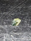 1 15ct Natural Unheated Blue Green Sapphire Thailand Rough