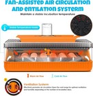 25 Egg Incubator Digital Poultry Hatcher Machine With Automatic Egg Turning  Inc