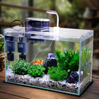 5 Gallon Glass Small Fish Tank  Betta Fish Tank Starter Kit With Filter  Lights 