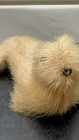 1960s Canadian Inuit Seal Skin Seal Figurine - Real Fur - Blonde - 3 Inch 