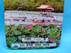 Souvenir Of The Summer Palace Beijing Dragon Coin Class A Ticket  - 35 Yuan