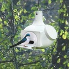 S k  Bo Nine Classic Combo Martin Or Bluebird Gourd B09 Pack Of 2