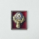 Vintage Solid Yellow Gold Synthetic Ruby Masonic Ring Top Stone Insert Bpoe Elks