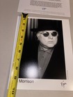 Van Morrison Press Photo 8x10   Card Set