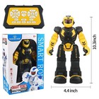 Remote Control Rc Robot Toy For Kids intellectual Gesture Sensor Programmable   