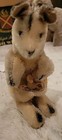 Vintage  Steiff  Small Mohair Kangoo  Kangaroo With Joey   Glass Eyes 6in
