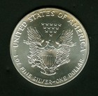 1993 Silver American Eagle Coin One Dollar 1 Troy Oz  999 Fine Bu White