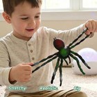 Bohs Rubber Jiggly Spider - Stretch   Squeeze - 5 5x5 5 Inches  Black