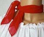 5 Pc Red 50 s Poodle Skirt Outfit Size Xl 3x Waist  40 -55  Length 25 