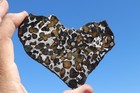 Sericho Pallasite Meteorite  Etched Slice Weight 35 3 Grams 4 Inch Usa Dealer