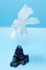 Stasto Betta Red   Blue Combtail Siamese Fighting Fish Figure Us Seller New Nip