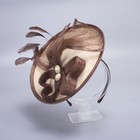 Womens Elegant Sinamay Wedding Hair Accessory Church Fascinator Party Hat