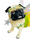 Westland Pugnacious Pug Fairy Godmother With Wand Dog Figurine