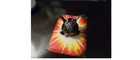 Bakugan Hyper Dragonoid 530g Bakusteel Darkus  purple Horns  New Vestroia