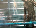 Vin Diesel Signed Photo 8x10 Guardians Of The Galaxy Autograph F9 Beckett Coa