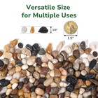 Greatbuddy 5-lb Decorative Pebbles 3 8  Pea Gravel For Indoor Plants Aquariums