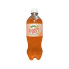 Canada Dry Peach Soda  20 Fl Oz  pack Of 24 