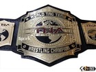 Tna World Tag Team Heavyweight Championship Replica Title Zinc 4mm Adult Size
