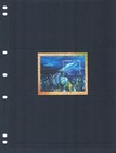 1 3 Off  7 00 Scott Value - 1999 Bahamas Dolphins S s Caribbean Cv Mnh Nh Umm