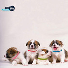 15 Pcs Puppy Id Collars Whelping Collars For Newborn Dogs Kittens Band
