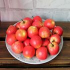 10 Pack Artificial Fake Green red Apples Plastic Fruits Kitchen Home Decor New