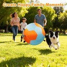Interactive Herding Ball For Large Dogs  25 Inches Outdoor Training Dog Toys