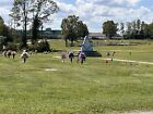 Burial Cemetery Plots