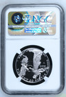2015 W  100 Proof American Platinum Eagle Ngc Pf 70 Er Mercanti