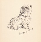 Vintage Lucy Dawson Sealyham Terrier Print Wall Art Decor 1940s Sealyham 5854v