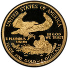 1994 W  5 Gold American Eagle Proof Coin 1 10 Oz In Original Capsule
