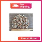 Wholesale Natural Semi Tumbled Moonstone Mix Gemstone Chips  Moonstone Mix Crush