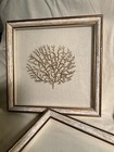 Three Gold Sea Fan Coral Art Framed In Shadow Boxes 12   x12      30mm X 30mm  Fancy
