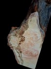 Xxl Insanely Curly Birdseye White Maple Burl Wood Slab Epoxy Wood  Curly Maple