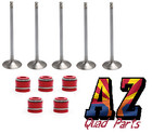 03-09 Yz450f Yz 450f Kibblewhite Intake Exhaust Valves Titanium Spring Kit Seals