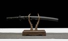 Black Pearl Wakizashi     T10 Steel