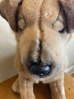 Fao Schwarz Fifth Ave Plush Stuffed Large Dog Tan   Brown Curled Ears 18    