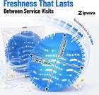 24 Pack Urinal Screen Deodorizer Cakes - 4 Fresh Scents  Bulk Urinal Fresheners