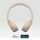Sony Wireless Bluetooth Headphones - Up To 50 Hours Battery Life With Quick C   