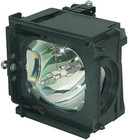 Samsung Bp96-01472a Replacement Lamp W housing 6 000 Hour Life   1 Year Warranty