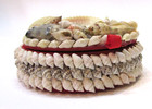 Vintage Seashell Shell Craft Jewelry Trinket Box W Ribbon Hinged Lid Red Lining