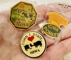 Lot Of Vintage State Of Iowa Lapel Hat Pins  11  Pigs Hog Flags  