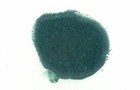 Quarter 1 4 Pound Sonoran Rich Blue Green Color Turquoise Inlay Powder Qprbgp