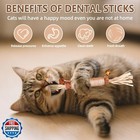 Joyarrive Natural Dried Matatabi Cat Chew Stick With Gall Fruit  Raffia Grass