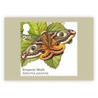 Gb 2026 Moths Phq Postcards Set Of 10  Mint - Sealed Pack  Issue Date 09 07 2026