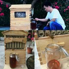 7 Pcs Auto Seep Honey Hive Beehive Frames Or 2 Layer Beekeeping Wooden House
