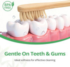 Bamboo Toothbrushes 12 Pack Natural Toothbrushes Bpa Free Soft Bristles Toothbru