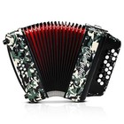 Accordion - 22 Keys 8 Bass  Lightweight Piano Accordion For Beginners  Vibrant 