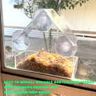 Bird Feeder Birds House For Outdoor  Window Bird Feeder With Strong Suction Cups